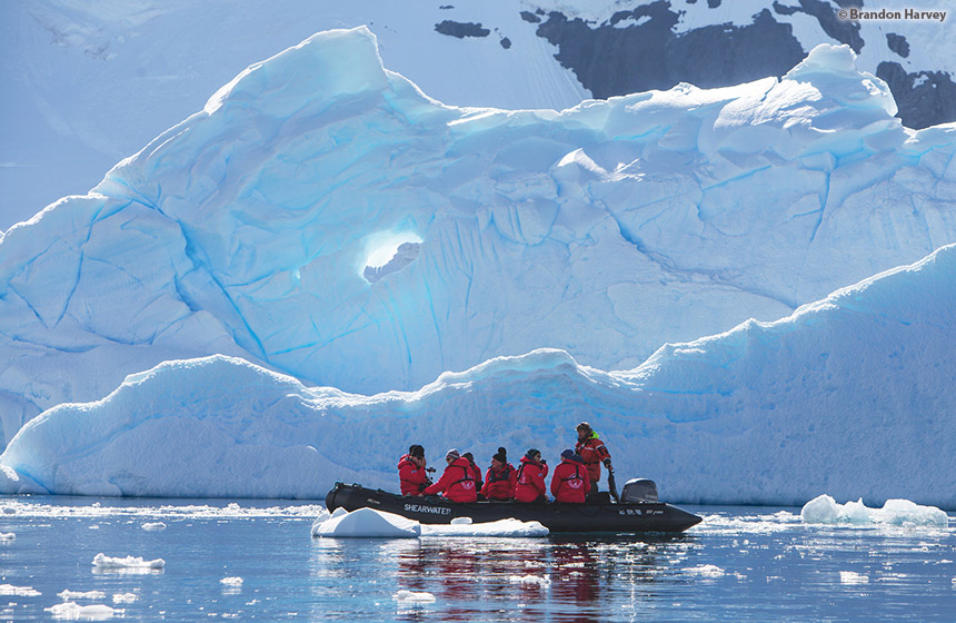 Antarctic_2020_11_Abenteuer und Wildtiere